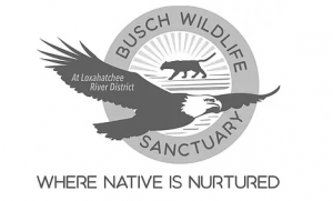 Busch Wildlife Sanctuary