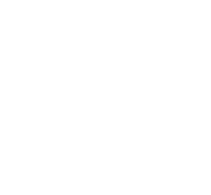 Florida Surplus Lines Association